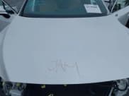 ✅ 2023 Lexus RX 350 • VIN: 2T2BAMCA0PC034324 • Lot: 41759608. Wystawiony na IAAI z przebiegiem 8 001 mil. Bezpłatny archiwum sprzedaży aukcyjnych z USA i szczegółowy raport historii pojazdu na DreamBid. Zdjęcie 10.