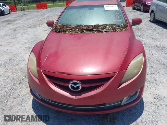 ✅ 2009 Mazda 6 S Grand Touring • VIN: 1YVHP82B895M25388 • Lot: 42197145. Listed on IAAI with Not provided. Free auction sales archive from the USA and detailed vehicle history report at DreamBid. Image 6.