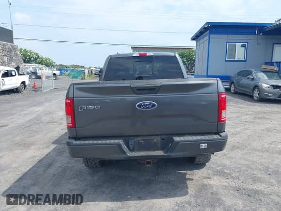 ✅ 2017 Ford F-150 XL • VIN: 1FTEX1EP8HFA98913 • Lot: 42807462. Listed on IAAI with 54,516 mi. Free auction sales archive from the USA and detailed vehicle history report at DreamBid. Image 16.