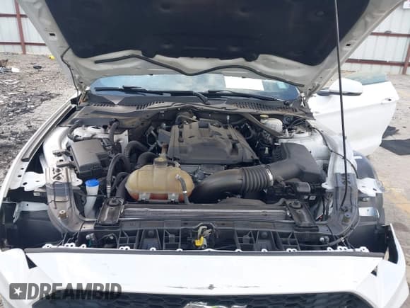 ✅ 2020 Ford Mustang EcoBoost Premium • VIN: 1FATP8UH7L5126473 • Lot: 43405791. Wystawiony na IAAI z przebiegiem 55 771 mil. Bezpłatny archiwum sprzedaży aukcyjnych z USA i szczegółowy raport historii pojazdu na DreamBid. Zdjęcie 10.