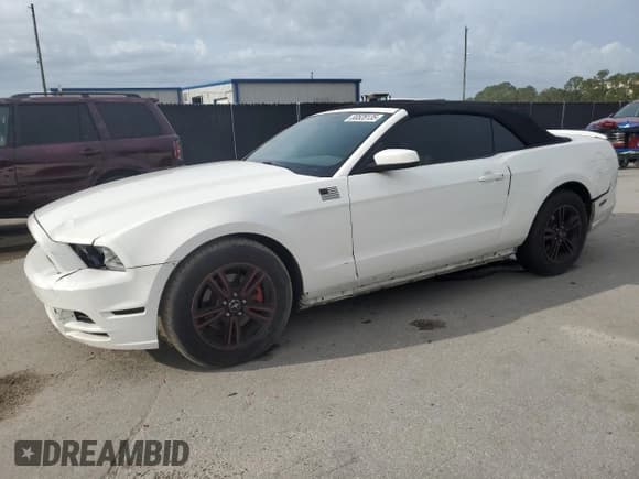 ✅ 2013 Ford Mustang V6 • VIN: 1ZVBP8EM2D5204593 • Lot: 80528135. Listed on Copart with 127,729 mi. Free auction sales archive from the USA and detailed vehicle history report at DreamBid. Image 1.