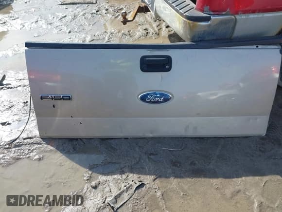 ✅ 2008 Ford F-150 XLT • VIN: 1FTPX14518FA91004 • Lot: 41664293. Wystawiony na IAAI z przebiegiem 171 860 mil. Bezpłatny archiwum sprzedaży aukcyjnych z USA i szczegółowy raport historii pojazdu na DreamBid. Zdjęcie 12.