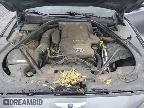 2015 Hyundai Genesis 3.8L with VIN KMHGN4JE6FU075462, listed as a Copart auction lot 82752175 with 195,968 mi miles and Clean title. Bid and sale history available at DreamBid. Image 11.