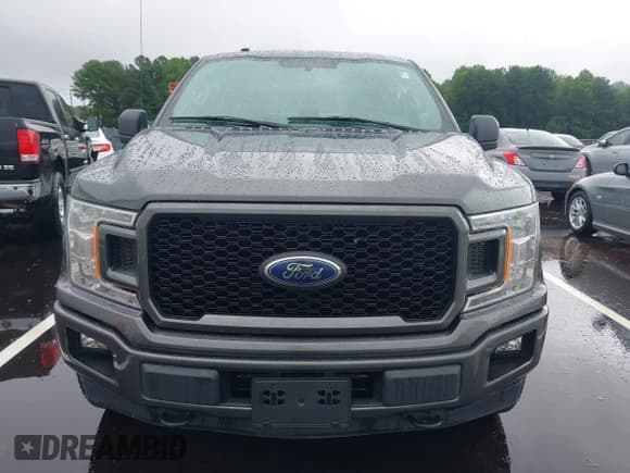✅ 2018 Ford F-150 XL • VIN: 1FTEX1EP1JFC12353 • Lot: 42968566. Wystawiony na IAAI z przebiegiem 123 175 mil. Bezpłatny archiwum sprzedaży aukcyjnych z USA i szczegółowy raport historii pojazdu na DreamBid. Zdjęcie 12.