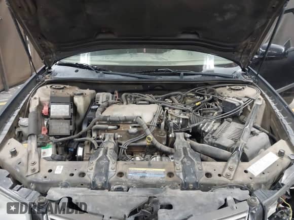 2004 Chevrolet Impala z VIN 2G1WF52E449395772, wystawiony jako IAAI lot #43470956 z przebiegiem 198 725 mil mil oraz . Historia ofert i sprzedaży dostępna na DreamBid. Obrazek 10.