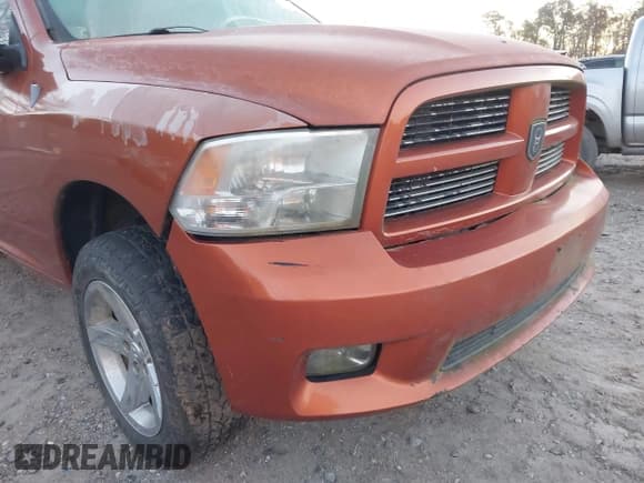 ✅ 2010 Dodge 1500 SLT • VIN: 1D7RV1GT0AS193809 • Lot: 43669414. Listed on IAAI with 218,063 mi. Free auction sales archive from the USA and detailed vehicle history report at DreamBid. Image 11.