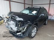 ✅ 2024 Toyota RAV4 XLE Premium • VIN: 2T3C1RFV8RW305725 • Lot: 42198443. Listed on IAAI with 6,811 mi. Free auction sales archive from the USA and detailed vehicle history report at DreamBid. Image 17.