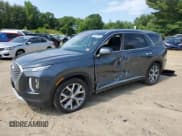 ✅ 2021 Hyundai Palisade SEL • VIN: KM8R3DHE0MU192035 • Лот: 58576384. Опубликован ранее на Copart с пробегом 54 782 миль. Бесплатный доступ к архиву аукционных продаж из США и подробный отчёт об истории автомобиля на DreamBid. Изображение 1.