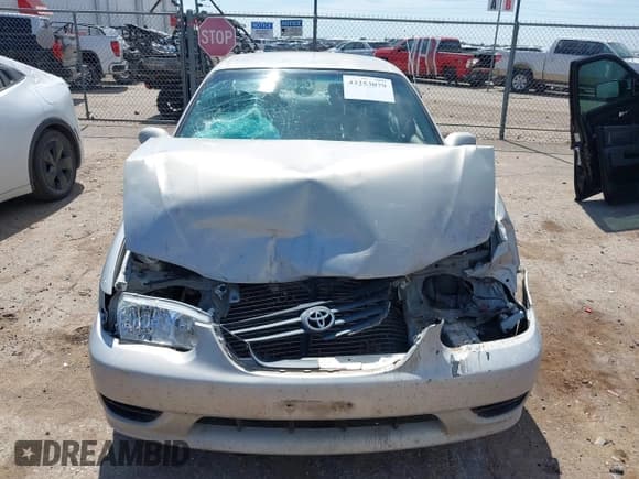 ✅ 2001 Toyota Corolla CE • VIN: 1NXBR12E21Z444760 • Lot: 43253079. Listed on IAAI with Not provided. Free auction sales archive from the USA and detailed vehicle history report at DreamBid. Image 6.