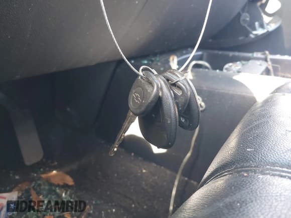 ✅ 2008 Chevrolet Silverado 1500 1LT • VIN: 2GCEC19J281121787 • Lot: 41859926. Listed on IAAI with Not provided. Free auction sales archive from the USA and detailed vehicle history report at DreamBid. Image 11.