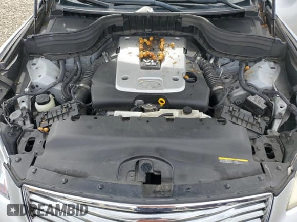 ✅ 2011 Infiniti EX Journey • VIN: JN1AJ0HP2BM800817 • Лот: 80114915. Опубликован ранее на Copart с пробегом 123 579 миль. Бесплатный доступ к архиву аукционных продаж из США и подробный отчёт об истории автомобиля на DreamBid. Изображение 11.