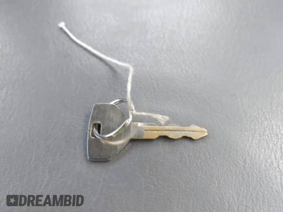 2001 Dodge 1500 with VIN 1B7HC16Z11S170010, listed as a IAAI auction lot 42971099 with Not provided miles and . Bid and sale history available at DreamBid. Image 11.