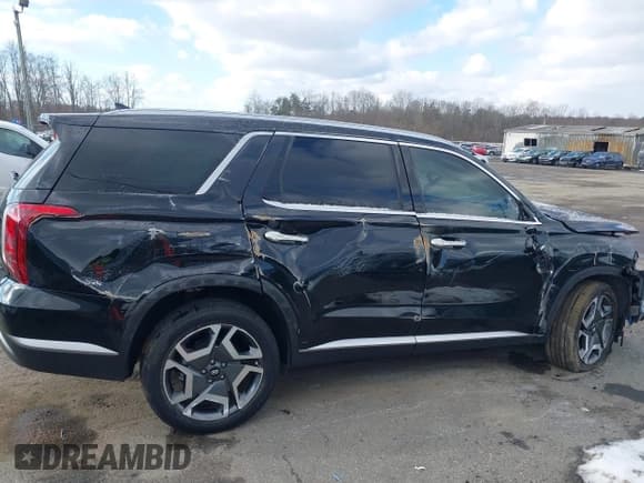 ✅ 2024 Hyundai Palisade SEL • VIN: KM8R44GE6RU734888 • Лот: 41370092. Опубликован ранее на IAAI с пробегом 12 183 миль. Бесплатный доступ к архиву аукционных продаж из США и подробный отчёт об истории автомобиля на DreamBid. Изображение 14.