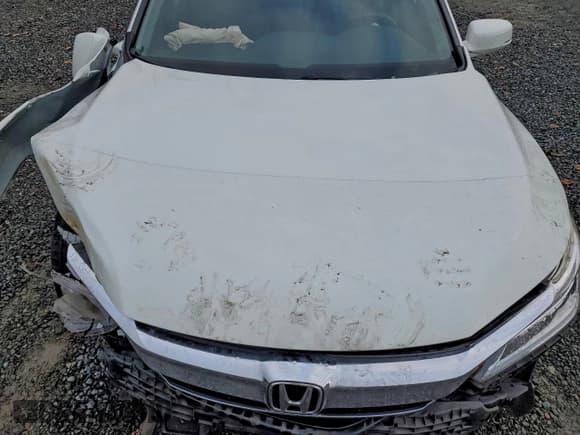 ✅ 2017 Honda Accord Touring • VIN: JHMCR6F78HC030494 • Lot: 93788425. Wystawiony na Copart z przebiegiem 97 502 mil. Bezpłatny archiwum sprzedaży aukcyjnych z USA i szczegółowy raport historii pojazdu na DreamBid. Zdjęcie 11.