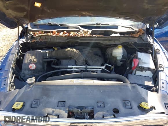 ✅ 2010 Dodge 1500 SLT • VIN: 1D7RV1CT9AS104146 • Lot: 43687897. Listed on IAAI with 184,602 mi. Free auction sales archive from the USA and detailed vehicle history report at DreamBid. Image 10.