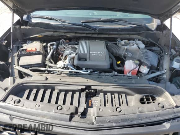 2025 Chevrolet Silverado 1500 Custom Trail Boss with VIN 3GCUKCE85SG151104, listed as a Copart auction lot 66125365 with 21,602 mi miles and Salvage title. Bid and sale history available at DreamBid. Image 11.