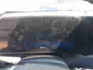 ✅ 2025 Chevrolet Equinox FWD LT • VIN: 3GNAXHEG7SL102901 • Лот: 42278835. Размещён на IAAI с пробегом 23 000 миль миль. Получите бесплатный доступ к архиву аукционных продаж из США и посмотрите подробный отчёт об истории автомобиля на DreamBid. Изображение 7.