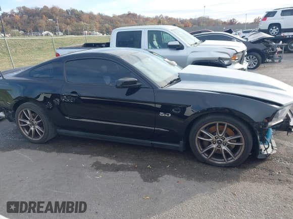 ✅ 2011 Ford Mustang GT Premium • VIN: 1ZVBP8CF9B5144457 • Lot: 43712768. Listed on IAAI with 42,181 mi. Free auction sales archive from the USA and detailed vehicle history report at DreamBid. Image 13.