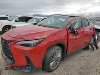 ✅ 2025 Lexus NX 350h Luxury • VIN: 2T2HKCEZ5SC032842 • Lot: 55678195. Listed on Copart with Not provided. Free auction sales archive from the USA and detailed vehicle history report at DreamBid. Image 1.