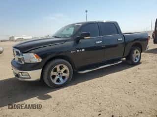 2009 Dodge 1500 SLT с VIN 1D3HB13T79J505668, выставлен на аукционе Copart как лот 73995124 с пробегом 152 726 миль миль и Списание • Salvage title. История ставок и продаж доступна на DreamBid. Изображение 1.