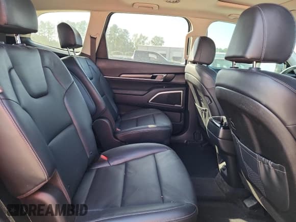 ✅ 2023 Kia Telluride S • VIN: 5XYP64GC3PG409585 • Lot: 81792615. Listed on Copart with 35,152 mi. Free auction sales archive from the USA and detailed vehicle history report at DreamBid. Image 11.