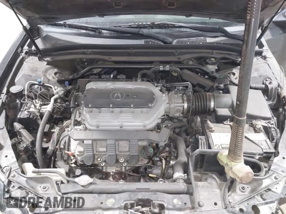 ✅ 2013 Acura TL Advance • VIN: 19UUA9F74DA000804 • Лот: 43491749. Опубликован ранее на IAAI с пробегом 149 215 миль. Бесплатный доступ к архиву аукционных продаж из США и подробный отчёт об истории автомобиля на DreamBid. Изображение 10.