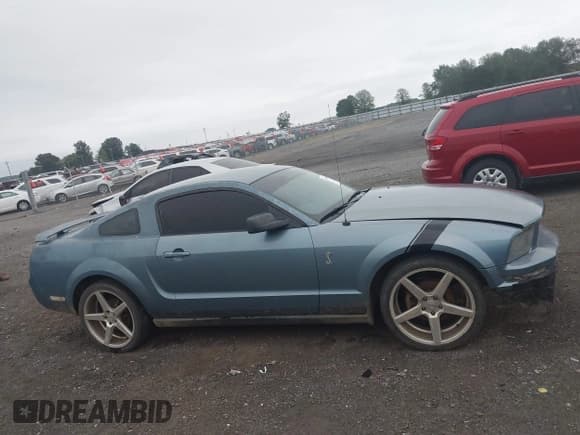 ✅ 2005 Ford Mustang Deluxe • VIN: 1ZVFT80N055108069 • Лот: 43258701. Опубликован ранее на IAAI с пробегом 253 074 миль. Бесплатный доступ к архиву аукционных продаж из США и подробный отчёт об истории автомобиля на DreamBid. Изображение 14.