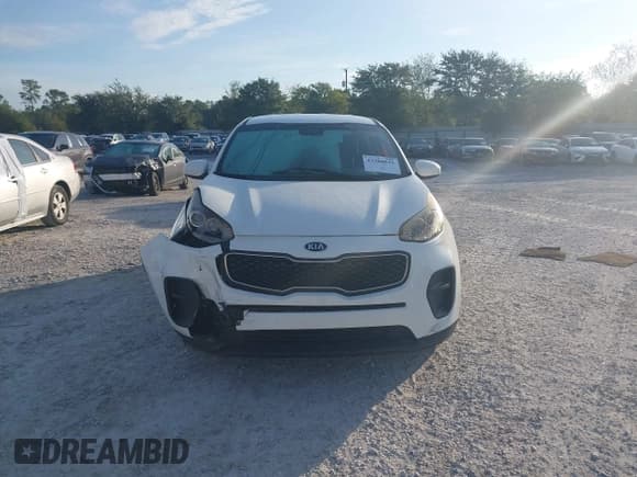 ✅ 2019 Kia Sportage LX • VIN: KNDPM3AC0K7567865 • Лот: 43300035. Опубликован ранее на IAAI с пробегом 167 050 миль. Бесплатный доступ к архиву аукционных продаж из США и подробный отчёт об истории автомобиля на DreamBid. Изображение 12.