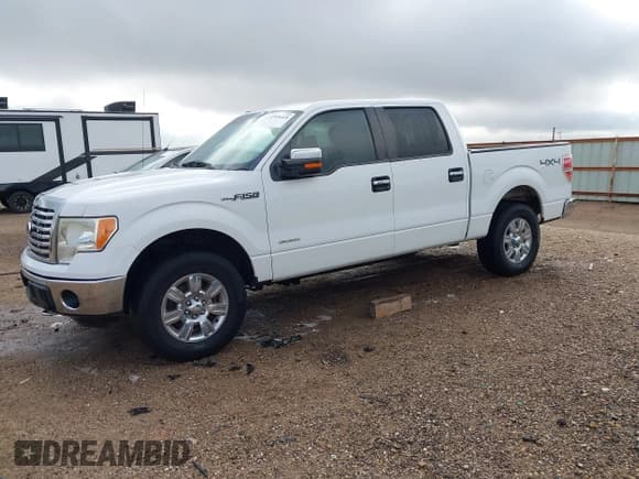 ✅ 2011 Ford F-150 XLT • VIN: 1FTFW1ET5BFC12975 • Lot: 43536418. Listed on IAAI with 237,356 mi. Free auction sales archive from the USA and detailed vehicle history report at DreamBid. Image 2.