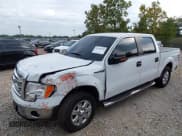 ✅ 2013 Ford F-150 Platinum • VIN: 1FTFW1EF4DFC04251 • Lot: 43256599. Listed on IAAI with 93,216 mi. Free auction sales archive from the USA and detailed vehicle history report at DreamBid. Image 17.