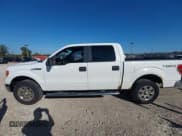 ✅ 2011 Ford F-150 XL • VIN: 1FTFW1EF2BFB22600 • Lot: 43456399. Listed on IAAI with 217,299 mi. Free auction sales archive from the USA and detailed vehicle history report at DreamBid. Image 14.
