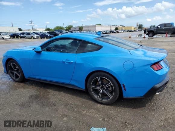 ✅ 2024 Ford Mustang EcoBoost • VIN: 1FA6P8TH3R5109337 • Лот: 61258334. Опубликован ранее на Copart с пробегом 1 103 миль. Бесплатный доступ к архиву аукционных продаж из США и подробный отчёт об истории автомобиля на DreamBid. Изображение 2.