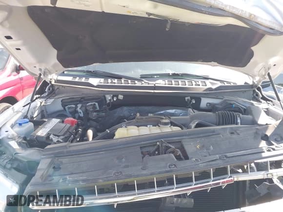 ✅ 2019 Ford F-150 XL • VIN: 1FTEW1EP2KFB13948 • Lot: 43174234. Wystawiony na IAAI z przebiegiem Nie podano. Bezpłatny archiwum sprzedaży aukcyjnych z USA i szczegółowy raport historii pojazdu na DreamBid. Zdjęcie 10.