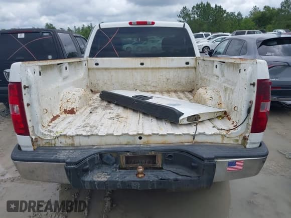 ✅ 2010 Chevrolet Silverado 1500 Work Truck • VIN: 1GCPCPEX1AZ190912 • Lot: 41968523. Listed on IAAI with 249,544 mi. Free auction sales archive from the USA and detailed vehicle history report at DreamBid. Image 8.