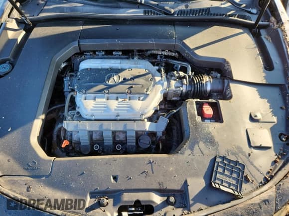 ✅ 2013 Acura TL Advance • VIN: 19UUA9F79DA001494 • Лот: 80378115. Опубликован ранее на Copart с пробегом Не указан. Бесплатный доступ к архиву аукционных продаж из США и подробный отчёт об истории автомобиля на DreamBid. Изображение 11.