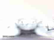 2019 Ram 1500 Big Horn with VIN 1C6RR6TT6KS712081, listed as a Copart auction lot 81502385 with 48,237 mi miles and Salvage title. Bid and sale history available at DreamBid. Image 14.