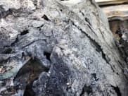 ✅ 2008 Buick LaCrosse Super • VIN: 2G4WN58C381149490 • Лот: 70679515. Опубликован ранее на Copart с пробегом 84 618 миль. Бесплатный доступ к архиву аукционных продаж из США и подробный отчёт об истории автомобиля на DreamBid. Изображение 9.