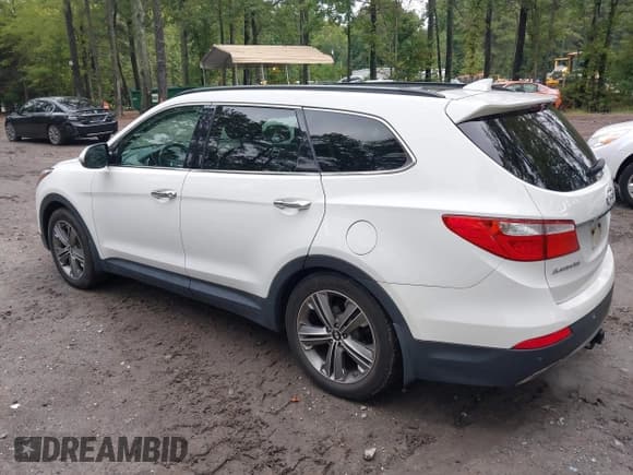 ✅ 2015 Hyundai Santa Fe GLS • VIN: KM8SR4HF6FU115259 • Lot: 43231471. Listed on IAAI with 95,691 mi. Free auction sales archive from the USA and detailed vehicle history report at DreamBid. Image 3.