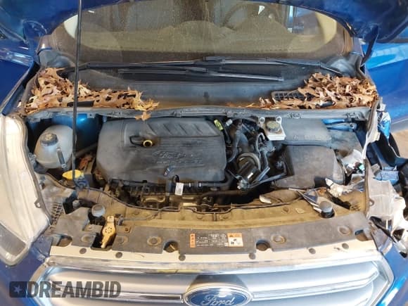 ✅ 2017 Ford Escape SE • VIN: 1FMCU0GD6HUB14787 • Lot: 43629650. Listed on IAAI with 143,286 mi. Free auction sales archive from the USA and detailed vehicle history report at DreamBid. Image 10.