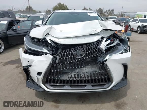 ✅ 2025 Lexus NX 350h Premium • VIN: JTJGKCEZ4S5033104 • Лот: 43088640. Опубликован ранее на IAAI с пробегом 5 764 миль. Бесплатный доступ к архиву аукционных продаж из США и подробный отчёт об истории автомобиля на DreamBid. Изображение 12.