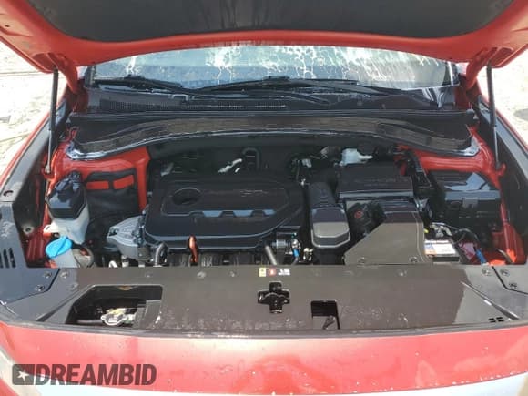 ✅ 2020 Hyundai Santa Fe SEL • VIN: 5NMS33AD0LH174240 • Lot: 66744724. Wystawiony na Copart z przebiegiem 35 127 mil. Bezpłatny archiwum sprzedaży aukcyjnych z USA i szczegółowy raport historii pojazdu na DreamBid. Zdjęcie 12.