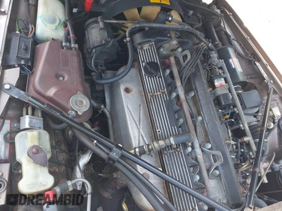 ✅ 1985 Jaguar XJ • VIN: SAJAY1341FC418447 • Лот: 42470003. Опубликован ранее на IAAI с пробегом 52 101 миль. Бесплатный доступ к архиву аукционных продаж из США и подробный отчёт об истории автомобиля на DreamBid. Изображение 10.