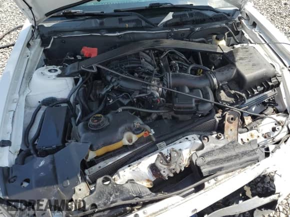 2014 Ford Mustang V6 с VIN 1ZVBP8EM8E5273502, выставлен на аукционе Copart как лот 71125485 с пробегом Не указан миль и Списание • Salvage title. История ставок и продаж доступна на DreamBid. Изображение 11.