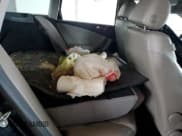 ✅ 2007 Volkswagen Passat 2.0T • VIN: WVWTK73C57E000997 • Лот: 59360054. Опубликован ранее на Copart с пробегом Не указан. Бесплатный доступ к архиву аукционных продаж из США и подробный отчёт об истории автомобиля на DreamBid. Изображение 11.