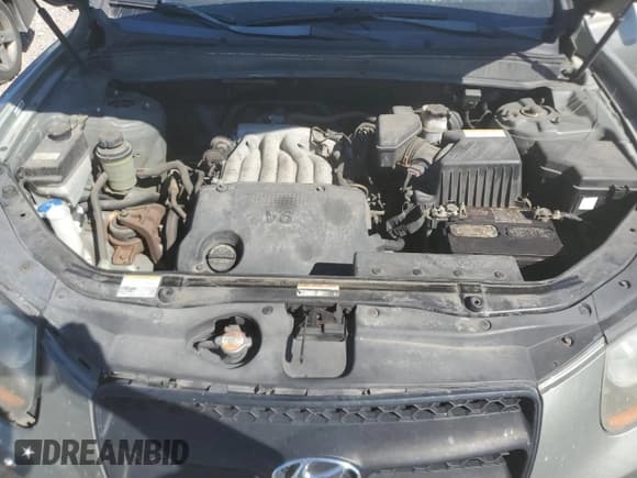 ✅ 2009 Hyundai Santa Fe GLS • VIN: 5NMSG13D39H233571 • Lot: 77320544. Listed on Copart with 132,210 mi. Free auction sales archive from the USA and detailed vehicle history report at DreamBid. Image 12.