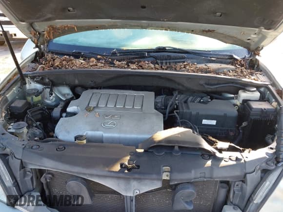 ✅ 2008 Lexus RX 350 • VIN: 2T2HK31U38C073649 • Lot: 43583248. Listed on IAAI with 151,975 mi. Free auction sales archive from the USA and detailed vehicle history report at DreamBid. Image 10.