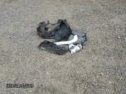 ✅ 2013 Ram 1500 Outdoorsman • VIN: 1C6RR7LT9DS519819 • Lot: 60905585. Listed on Copart with 190,552 mi. Free auction sales archive from the USA and detailed vehicle history report at DreamBid. Image 12.