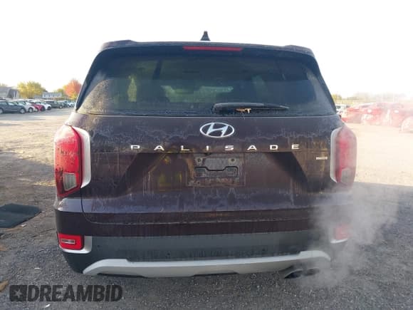 ✅ 2020 Hyundai Palisade SEL • VIN: KM8R4DHE6LU086751 • Lot: 43625342. Listed on IAAI with 48,329 mi. Free auction sales archive from the USA and detailed vehicle history report at DreamBid. Image 17.