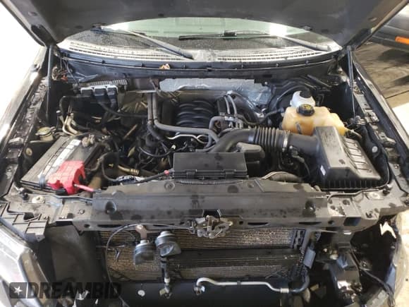 ✅ 2013 Ford F-150 XL • VIN: 1FTFW1EF7DKD61635 • Lot: 49081274. Listed on Copart with 223,902 mi. Free auction sales archive from the USA and detailed vehicle history report at DreamBid. Image 11.