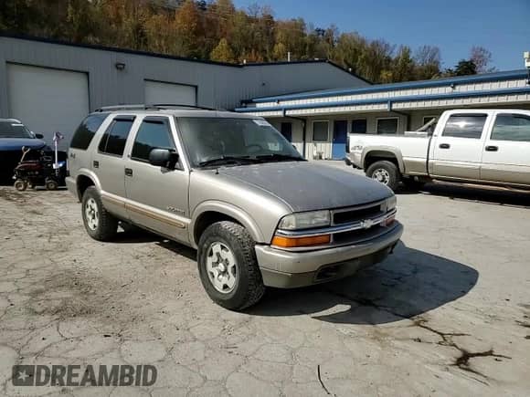 2002 Chevrolet Blazer LS z VIN 1GNDT13W42K241542, wystawiony jako Copart lot #77425714 z przebiegiem 171 055 mil mil oraz Szkoda całkowita • Salvage title. Historia ofert i sprzedaży dostępna na DreamBid. Obrazek 11.